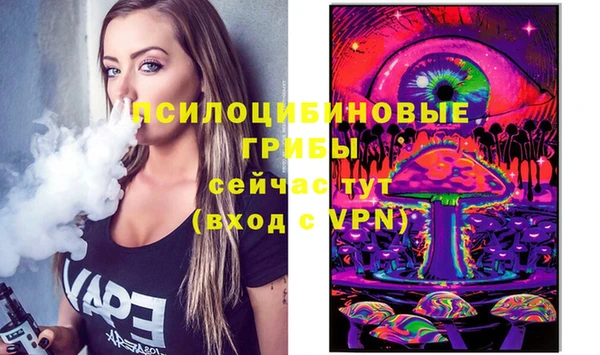 ГАЛЛЮЦИНОГЕННЫЕ ГРИБЫ Горняк