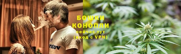 прущие крисы Горнозаводск