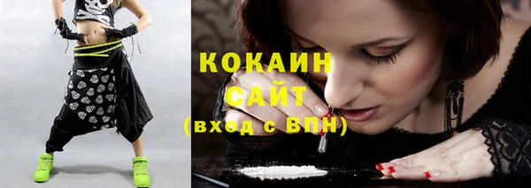 ГАЛЛЮЦИНОГЕННЫЕ ГРИБЫ Горняк
