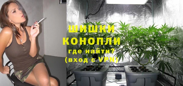 ALPHA PVP Горно-Алтайск