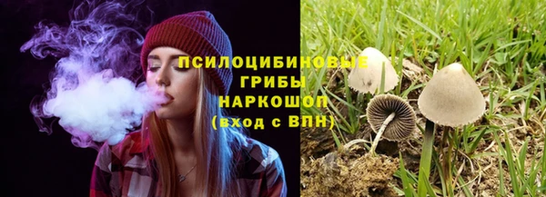ALPHA PVP Горно-Алтайск