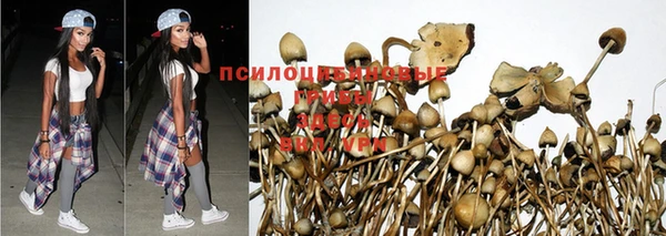 ГАЛЛЮЦИНОГЕННЫЕ ГРИБЫ Горняк