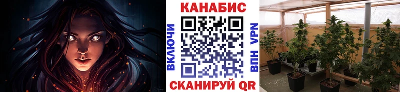 Каннабис планчик  Жуковский 